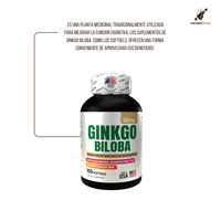 GINKGO BILOVA