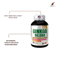 GINKGO BILOVA